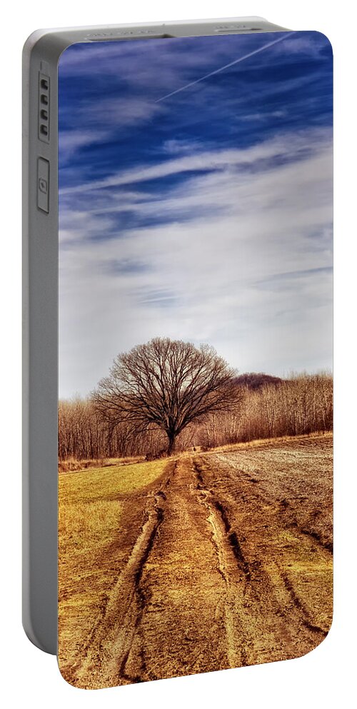 Tree Portable Battery Charger featuring the photograph Towards The Tree by Bill and Linda Tiepelman