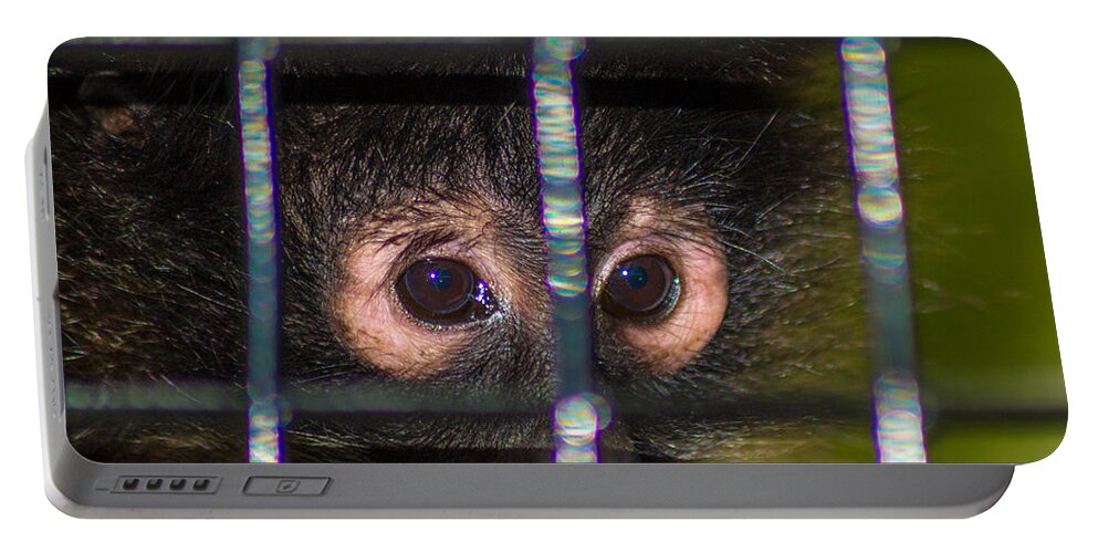 Monkey Portable Battery Charger featuring the photograph Trapped by Shannon Harrington