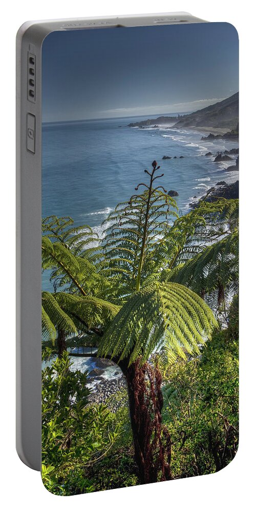 00441959 Portable Battery Charger featuring the photograph Tree Fern Above Rugged Beaches Paparoa by Colin Monteath