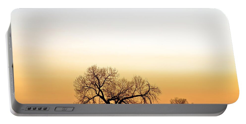 'boulder County' Portable Battery Charger featuring the photograph Tree Harmony by James BO Insogna