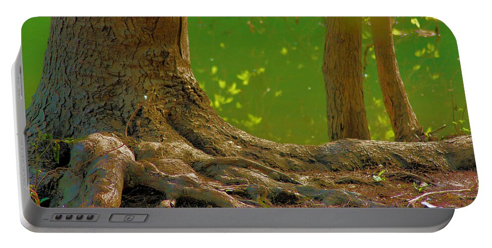 Tree Portable Battery Charger featuring the photograph Tree Roots by Karen Wagner