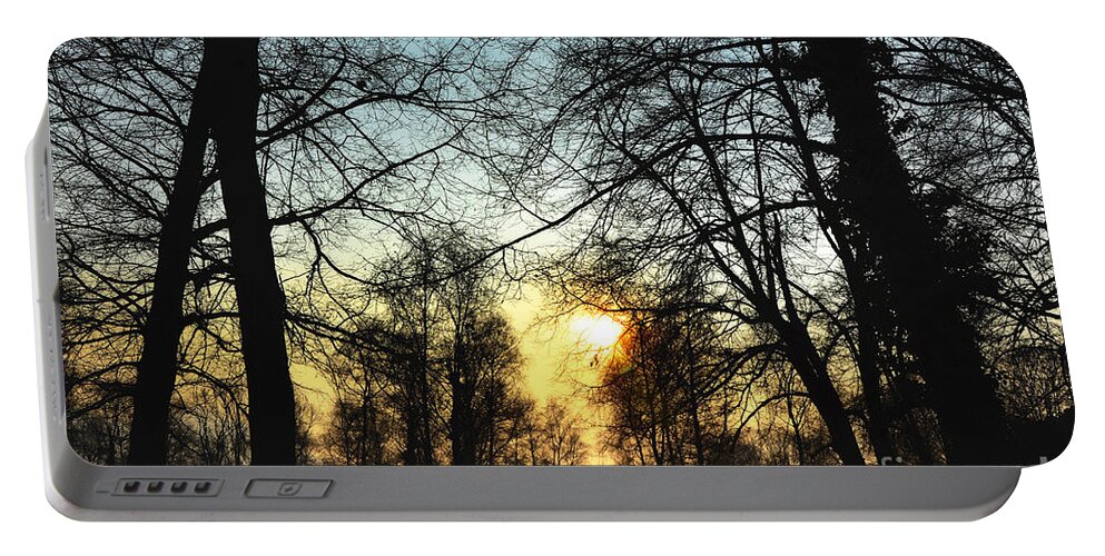 Tree Portable Battery Charger featuring the photograph Trees and sun in a foggy day by Mats Silvan