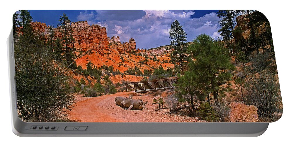 Utah Portable Battery Charger featuring the photograph Tropic Canyon In Bryce Canyon Park by Rich Walter