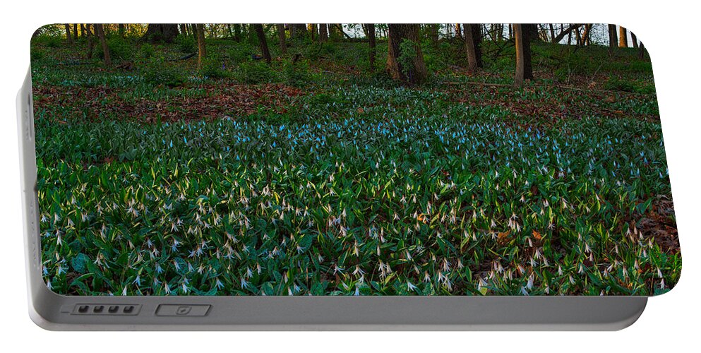 Illinois Portable Battery Charger featuring the photograph Trout Lilies on Forest Floor by Steve Gadomski
