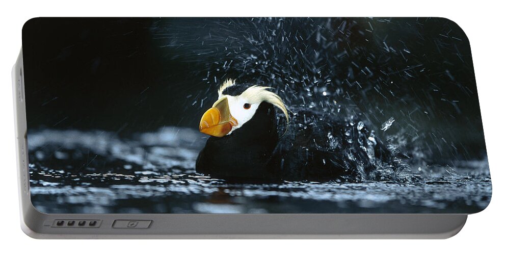 Mp Portable Battery Charger featuring the photograph Tufted Puffin Fratercula Cirrhata by Konrad Wothe