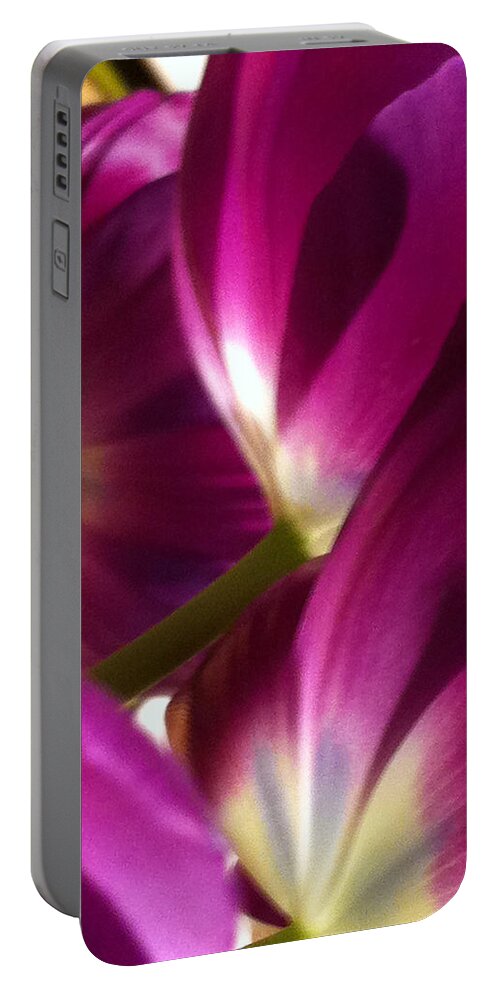 Tulips Portable Battery Charger featuring the photograph Tulip Weave by Kathy Corday
