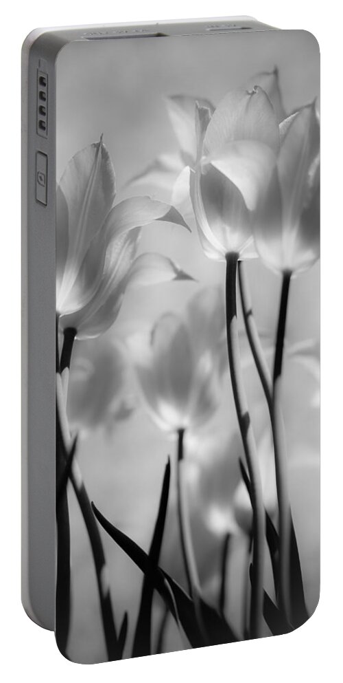 Tulips Portable Battery Charger featuring the photograph Tulips Glow by Michelle Joseph-Long