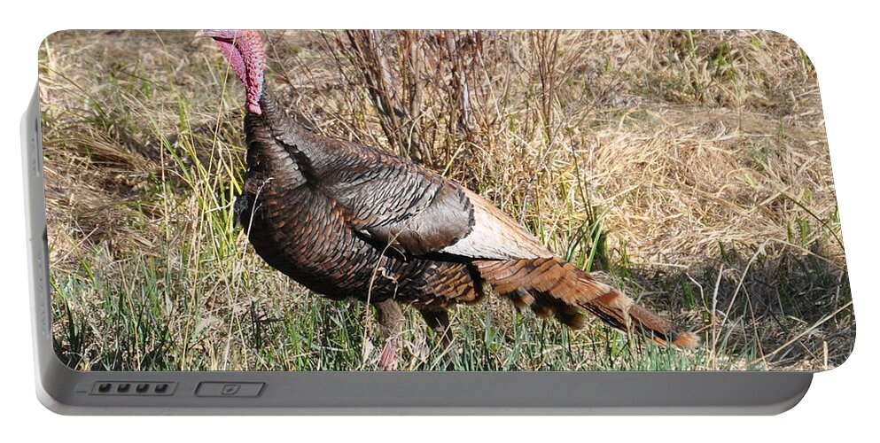 Turkey Portable Battery Charger featuring the photograph Turkey in the Straw by Dorrene BrownButterfield
