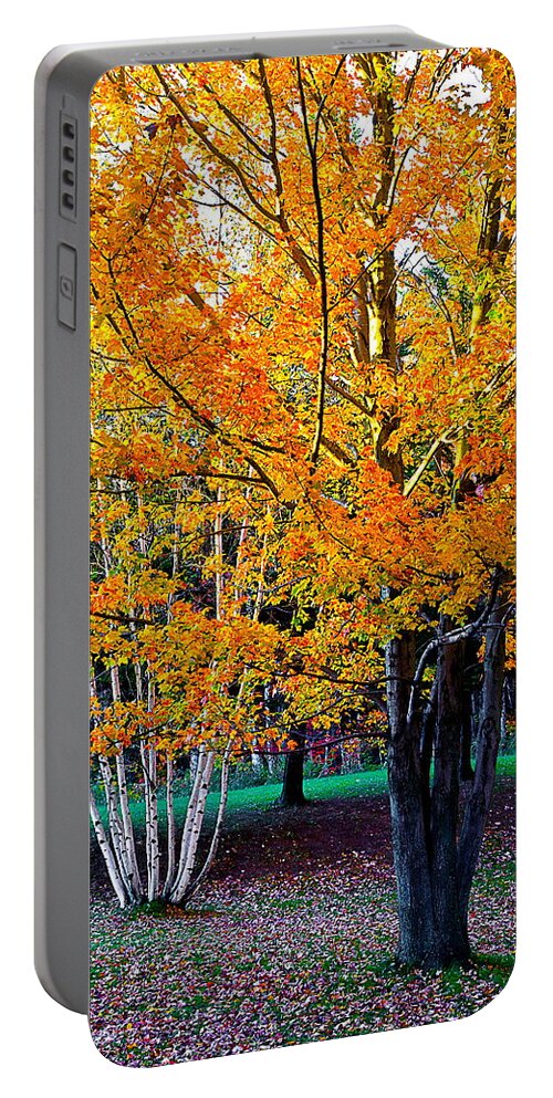 Fall Portable Battery Charger featuring the photograph Twins by Burney Lieberman