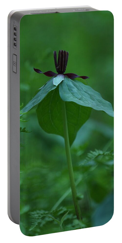 Trillium Stamineum Portable Battery Charger featuring the photograph Twisted Trillium by Daniel Reed