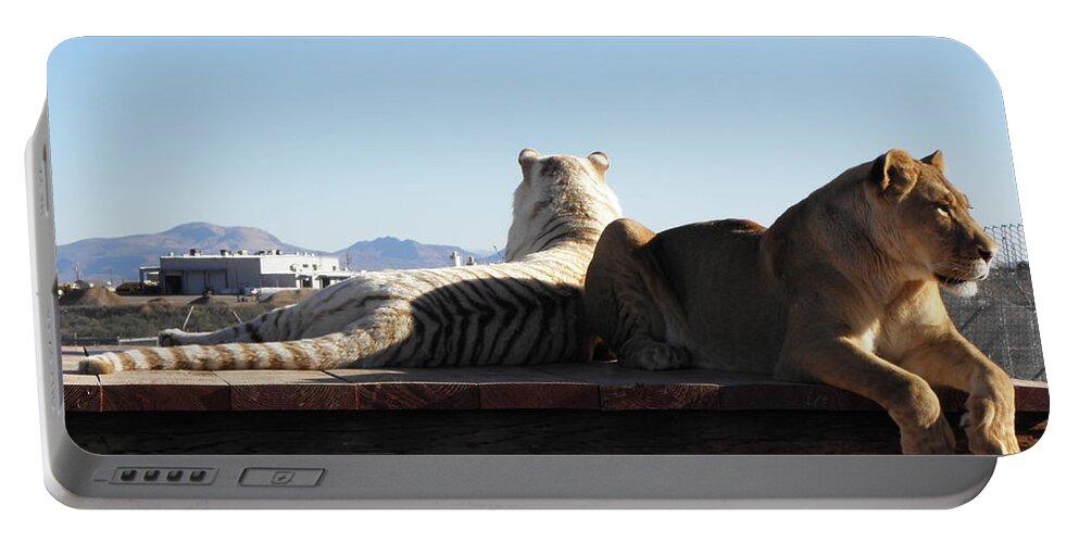 Lion Portable Battery Charger featuring the photograph Two Gorgeous Females by Kim Galluzzo