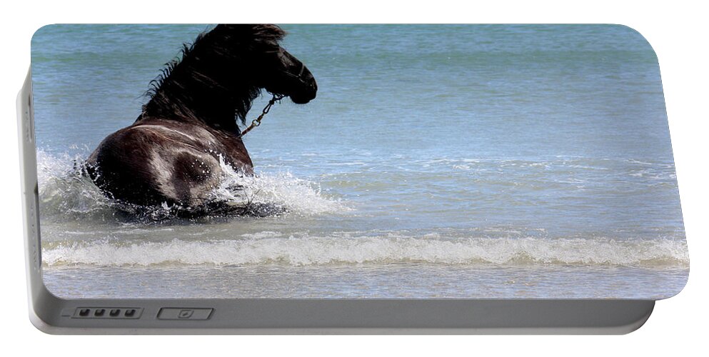 Friesian Horse Portable Battery Charger featuring the photograph Two Loves Of Mine by Kim Galluzzo