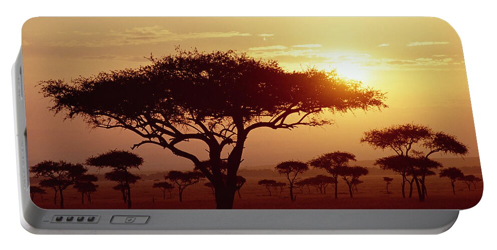 Mp Portable Battery Charger featuring the photograph Umbrella Thorn Acacia Tortilis Trees by Gerry Ellis