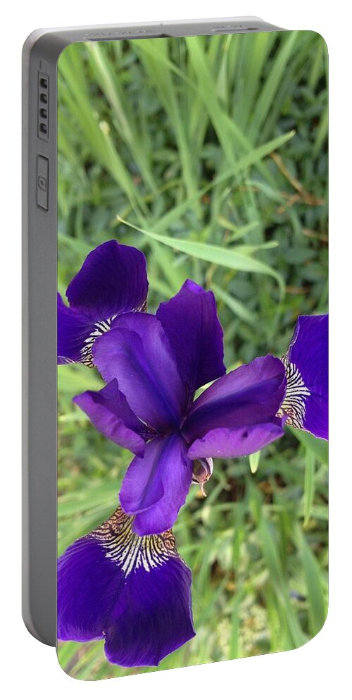 Iris Portable Battery Charger featuring the photograph Velvet Royale by Joseph Yarbrough