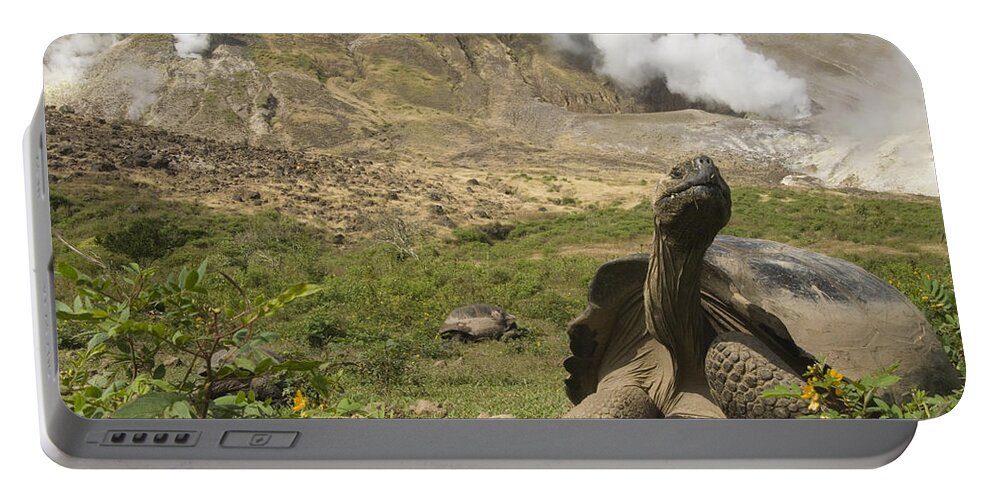 Mp Portable Battery Charger featuring the photograph Volcan Alcedo Giant Tortoise Geochelone by Pete Oxford