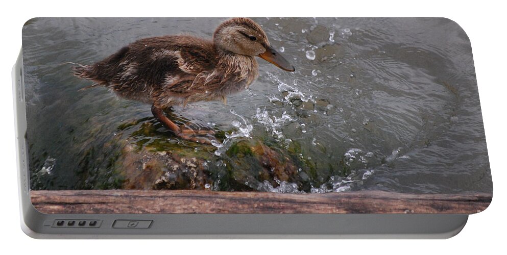 Duckling Portable Battery Charger featuring the photograph Wading by Grace Grogan