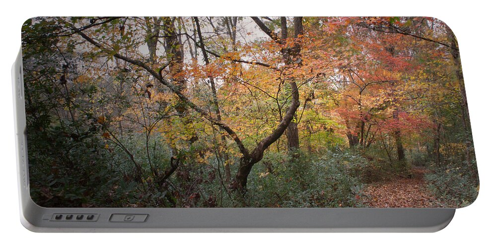 Autumn Portable Battery Charger featuring the photograph Walk of Change by David Troxel
