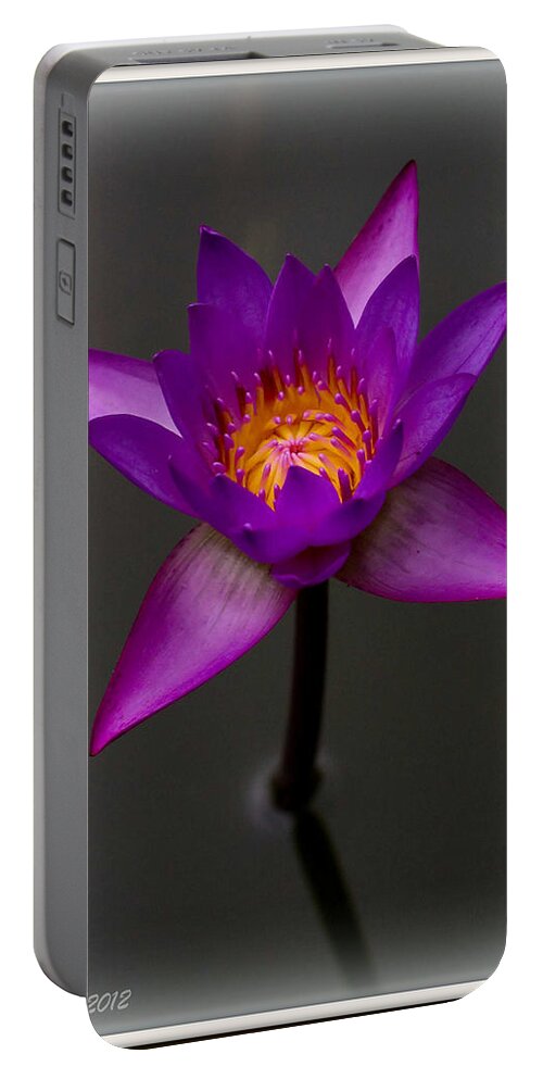 Water Portable Battery Charger featuring the photograph Water Lily by Farol Tomson