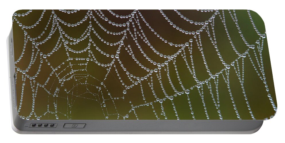  Portable Battery Charger featuring the photograph Web With Dew by Daniel Reed