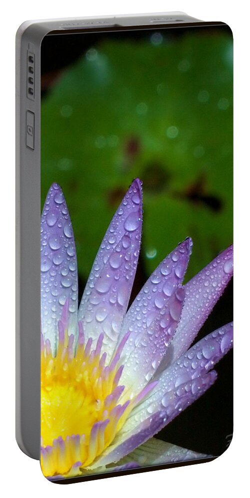 Water Lily Portable Battery Charger featuring the photograph Wet Water Lily by Farol Tomson