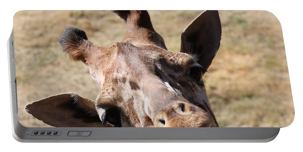 Giraffe Portable Battery Charger featuring the photograph What A Face by Kim Galluzzo Wozniak