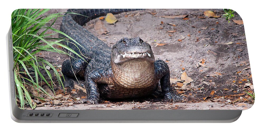 Alligator Portable Battery Charger featuring the photograph What Are YOU Looking At by Kenneth Albin