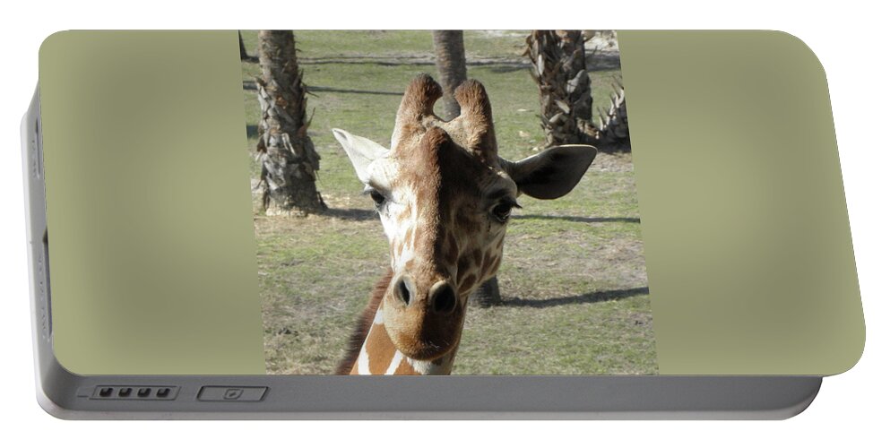 Giraffe Portable Battery Charger featuring the photograph What Are You Looking At by Kim Galluzzo
