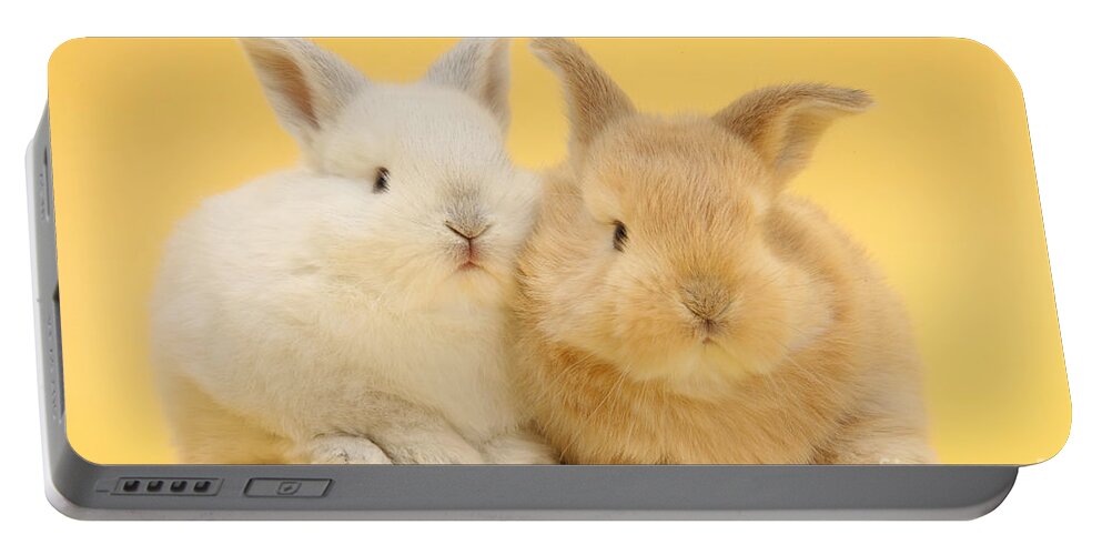 Nature Portable Battery Charger featuring the photograph White And Sandy Rabbits by Mark Taylor