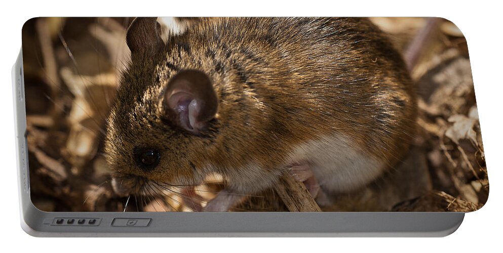 Mouse Portable Battery Charger featuring the photograph White-footed Mouse by Onyonet Photo studios