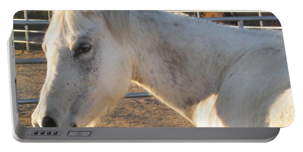 Horse Portable Battery Charger featuring the photograph White Horse by Sue Halstenberg