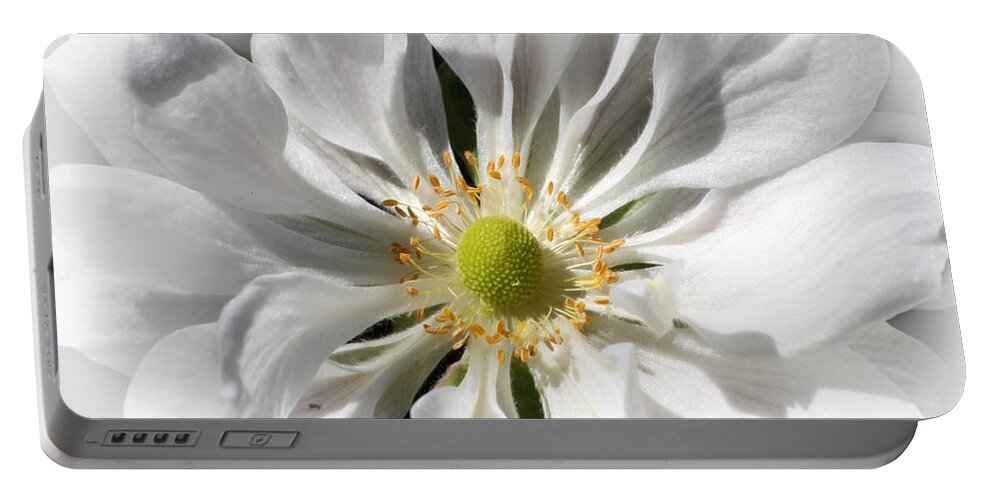 White Petals Portable Battery Charger featuring the photograph White petals by Danuta Bennett