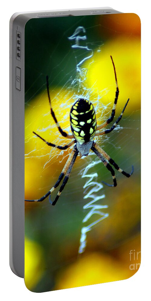 All Rights Reserved Portable Battery Charger featuring the photograph Wicked Spider Paint by Clayton Bruster