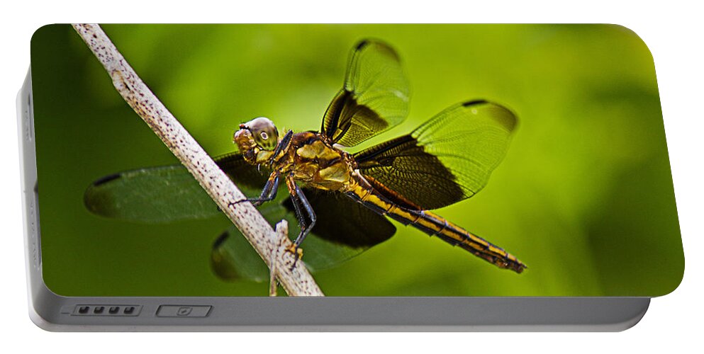 Widow Dragonfly Portable Battery Charger featuring the photograph Widow in Waiting by Barry Jones