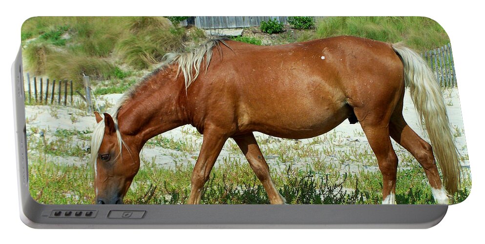 Wild Spanish Mustang Portable Battery Charger featuring the photograph Wild Blondie by Kim Galluzzo