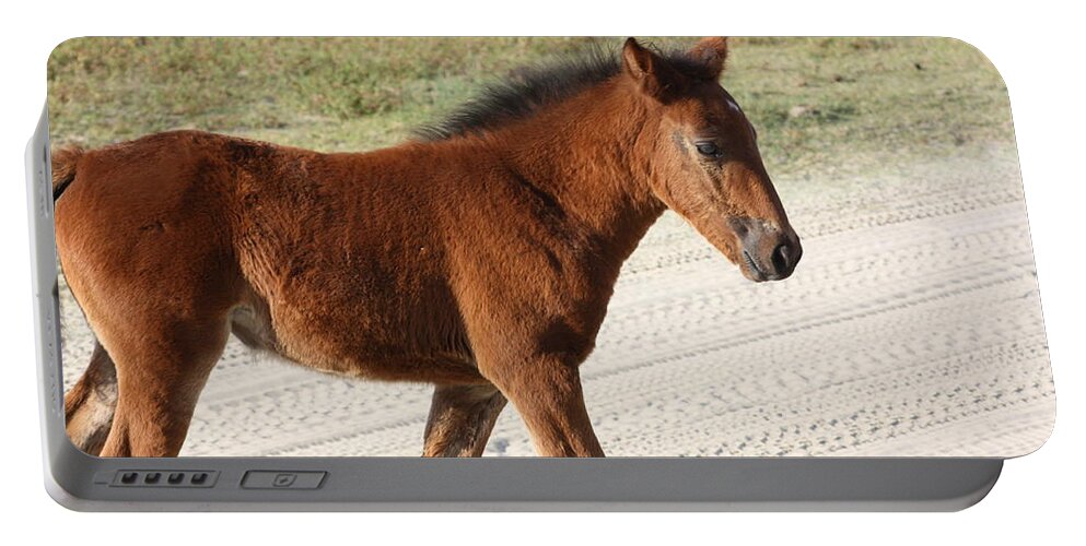 Wild Spanish Mustang Portable Battery Charger featuring the photograph Wild Spanish Mustang Filly by Kim Galluzzo