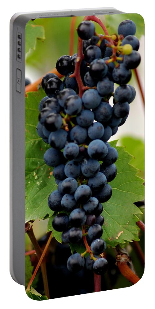 Usa Portable Battery Charger featuring the photograph Wine in the Leaves by LeeAnn McLaneGoetz McLaneGoetzStudioLLCcom