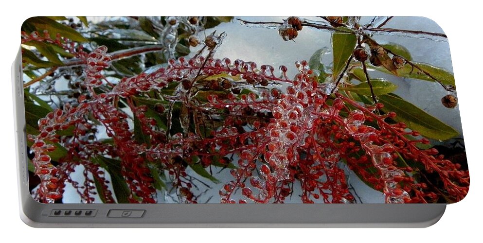 Berries Portable Battery Charger featuring the photograph Winter Berries frozen in time by Kim Galluzzo