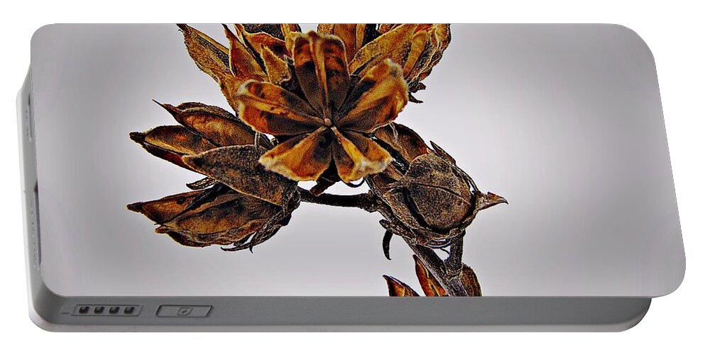 Rose Of Sharon Portable Battery Charger featuring the photograph Winter Dormant Rose of Sharon by David Dehner