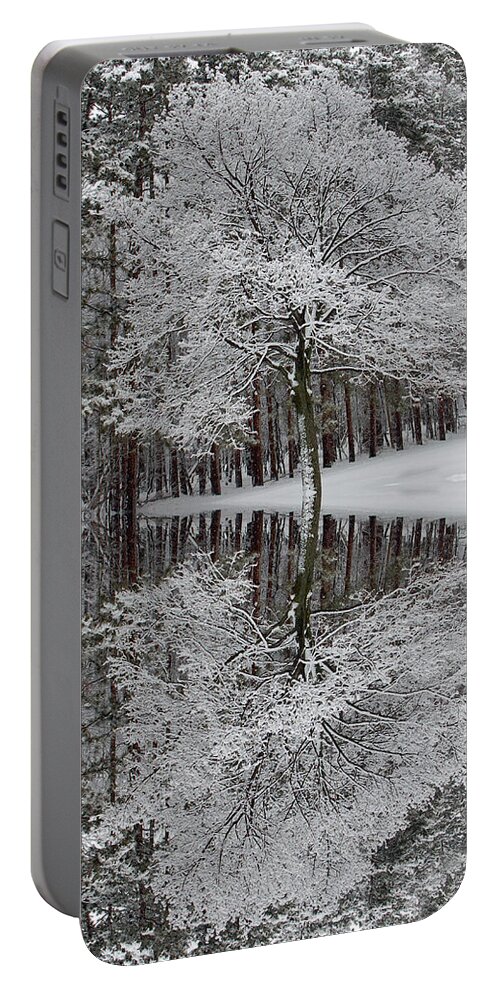 Winter Landscape Portable Battery Charger featuring the photograph Winter Reflection by Aimee L Maher ALM GALLERY