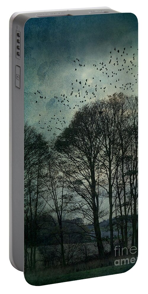  Tree Portable Battery Charger featuring the photograph Winter Trees by Ann Garrett