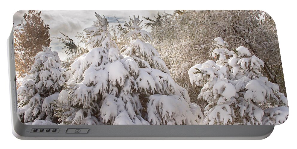 Winter Portable Battery Charger featuring the photograph Winter Wonderland by James BO Insogna