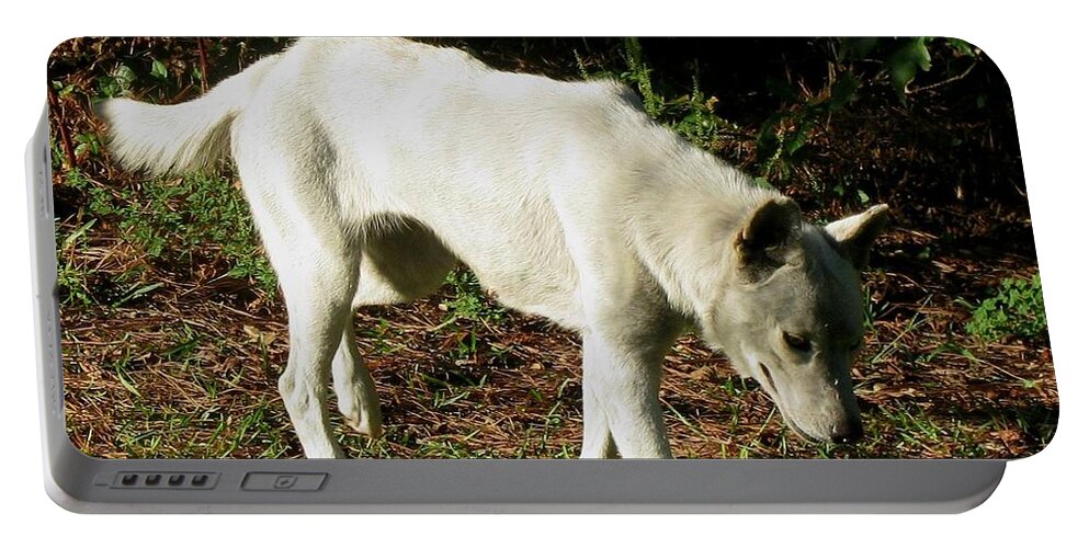 Wolf Portable Battery Charger featuring the photograph Wolf 2 by Maria Urso