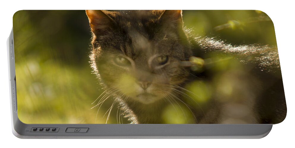 Cat Portable Battery Charger featuring the photograph Wonky eyed tiger by Ang El