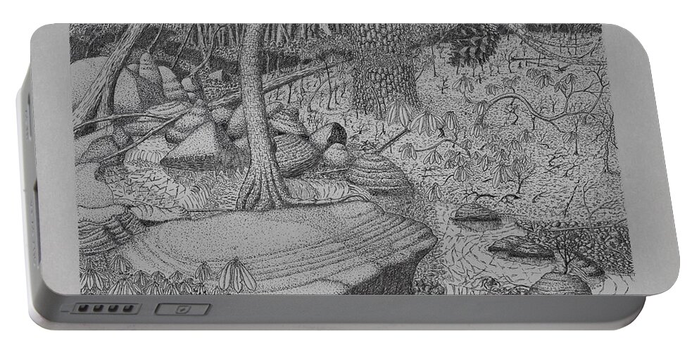 Nature Portable Battery Charger featuring the drawing Woodland Stream by Daniel Reed