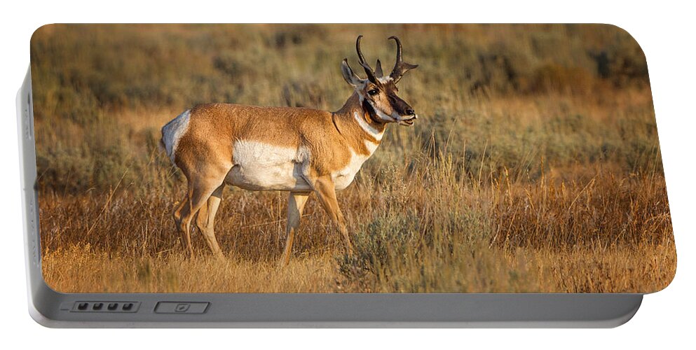 2012 Portable Battery Charger featuring the photograph Wyoming Pronghorn by Ronald Lutz