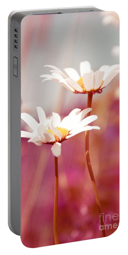 Daisies Portable Battery Charger featuring the photograph X-Posed by Aimelle Ml