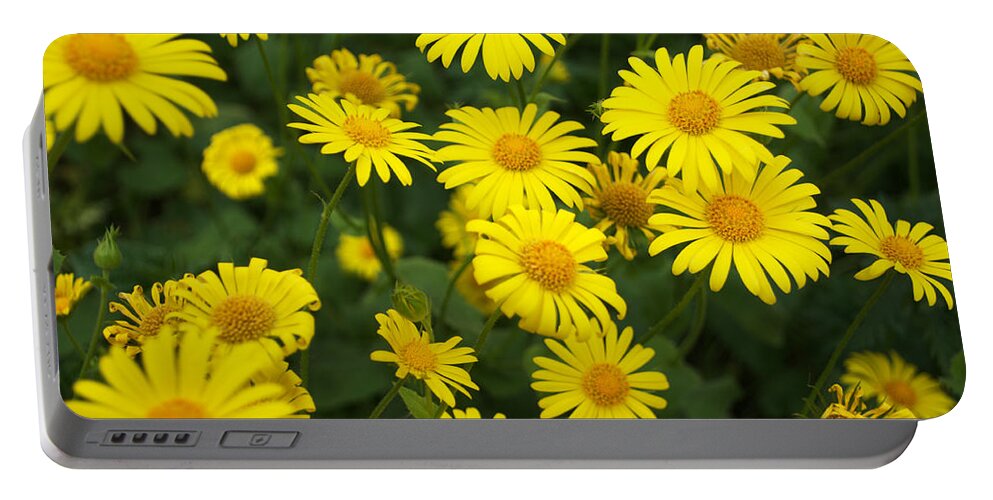 Chrysanthemum Portable Battery Charger featuring the photograph Yellow Chrysanthemums by Chris Day