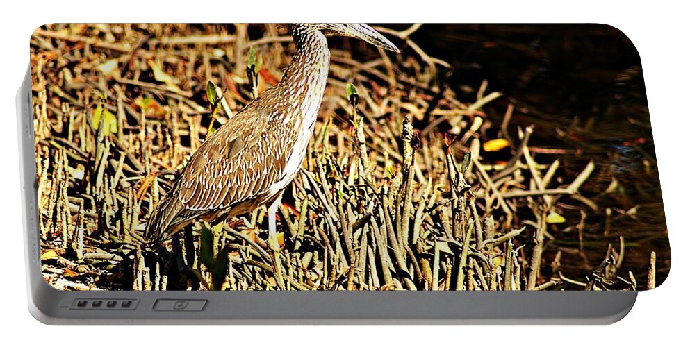 Yellow Crowned Night Heron Portable Battery Charger featuring the photograph Yellow Crowned Night Heron by Joe Faherty