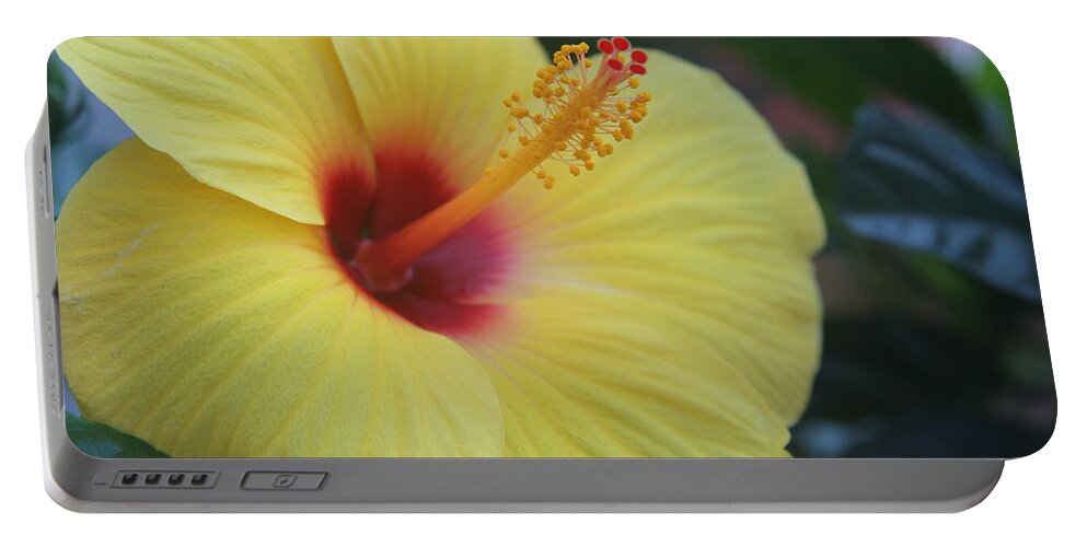 Hibiscus Portable Battery Charger featuring the photograph Yellow Hibiscus by Debra Martelli