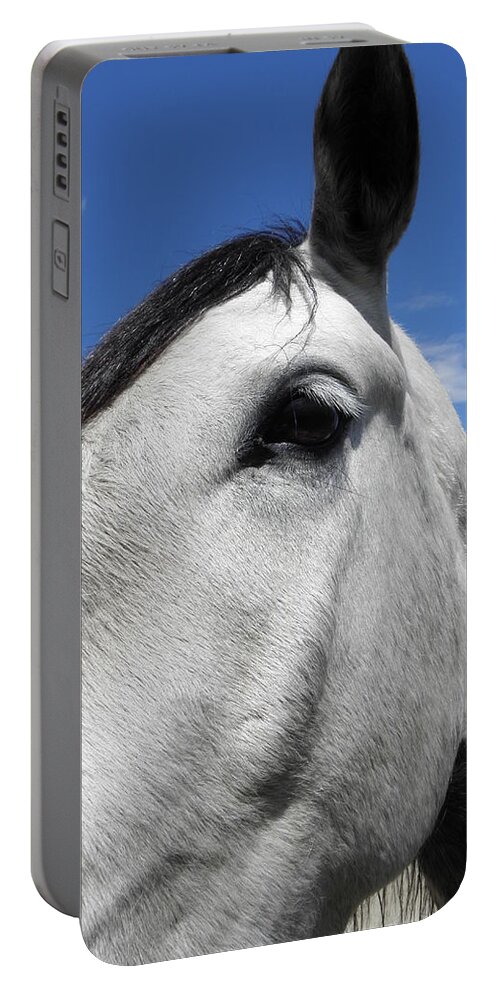 Horse Portable Battery Charger featuring the photograph You Lookin At Me by Kim Galluzzo